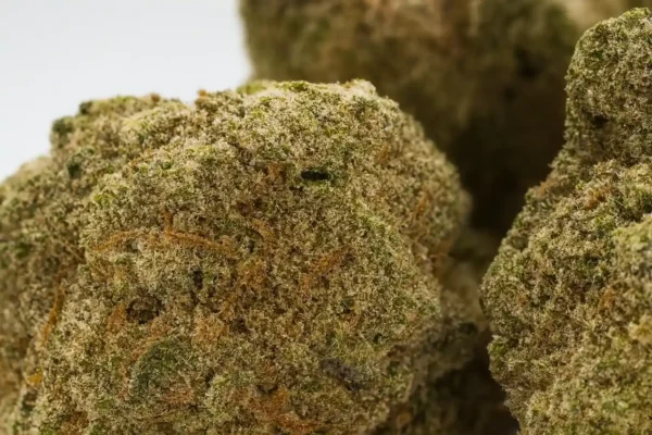 THCA Flower - Gorilla Glue / GG4 | 27% – Bild 2