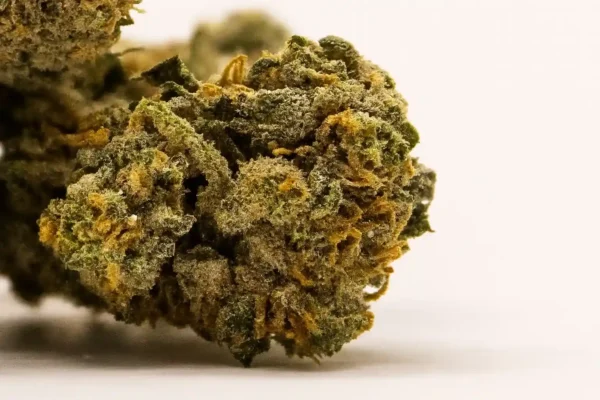 THCA-Blüten - Silver Haze | 18% – Bild 2