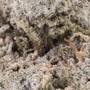 Strawberry ice cannabis blüten