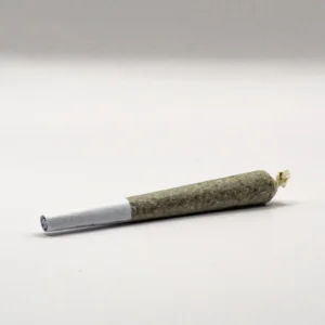 Preroll Jibbit