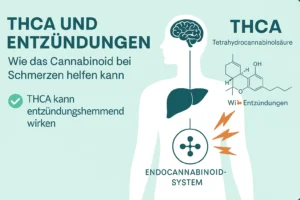 THCA entzudungen