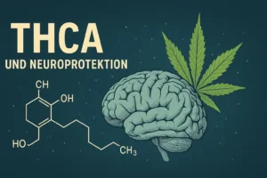 THCA Neuroprotektion