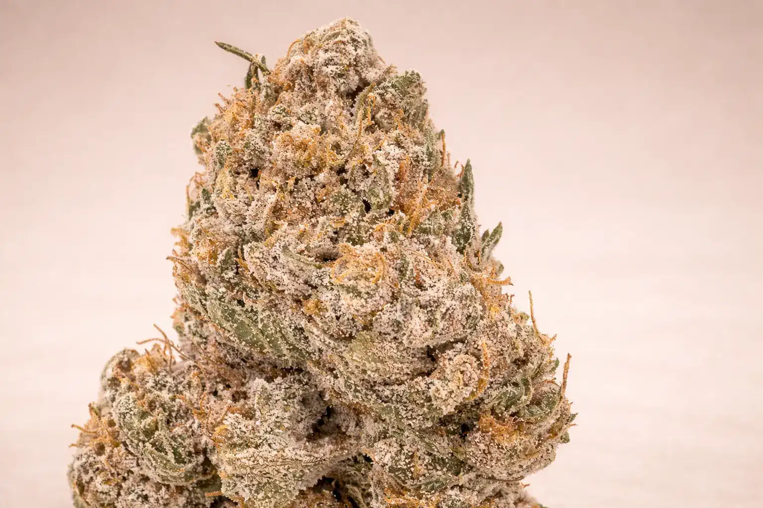 Super silver haze closeup of CBD buds