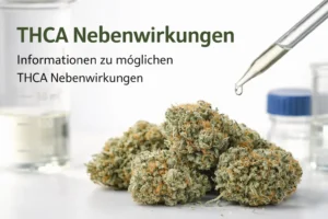 THCA Blüten Nahaufnahme mit Laborpipette – Informationen zu möglichen THCA Nebenwirkungen