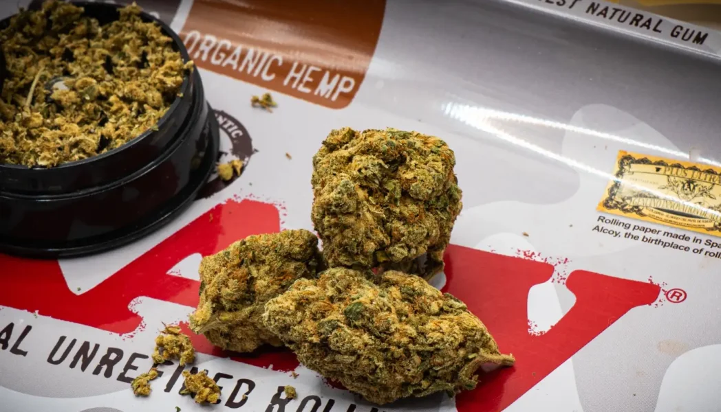 Amnesia Haze - THCA blüten