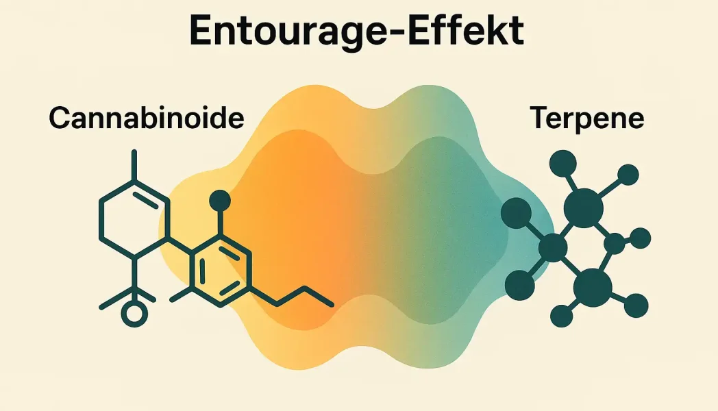 Entourage-effekt cannabis