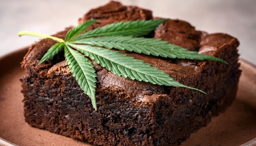 THCA Hash Brownies Backrezept