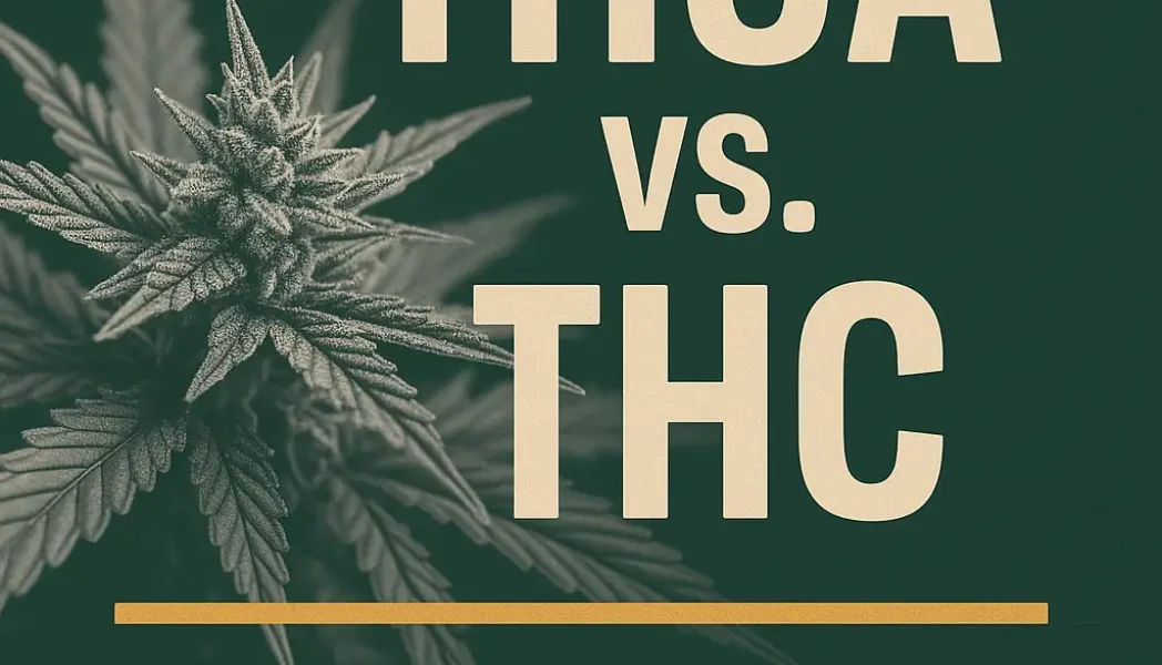THCA vs THC 2025