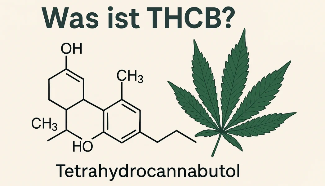 Was ist THCB?